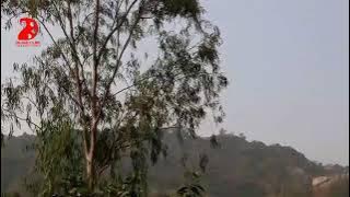 Sukh gai Sukh gai Jo Dali us pe phool nahin FIR khilta