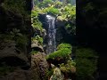 Aquascape waterfall