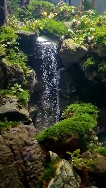 Aquascape waterfall