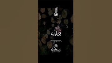 تلاوة خاشعة من سورة النمل #اليمن #العراق #الجزائر #السعودية #قرآن