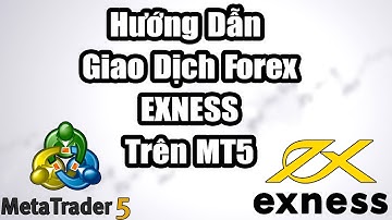 Hướng Dẫn Giao Dịch Forex Trên MetaTrader 5 2025