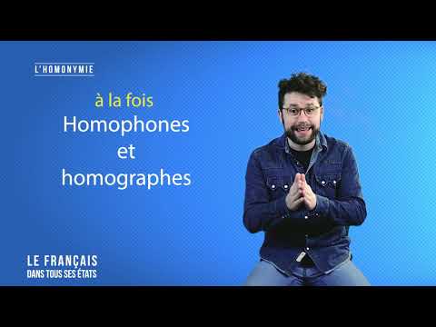 L&rsquo;HOMONYMIE. Capsule pédagogique de grammaire