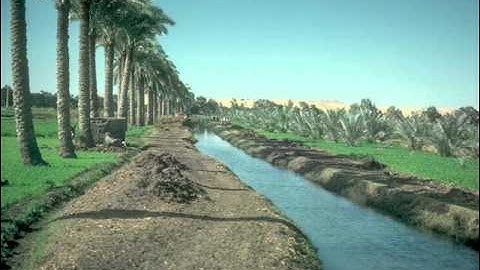 الشيخ عبد الرؤوف محمد نصر سورة المنافقون.wmv