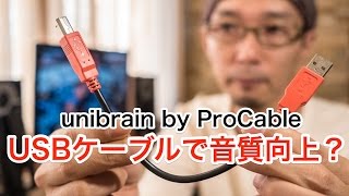 【PCオーディオ】USBケーブルで音質が変わる？  unibrain 20cm USBケーブル by ProCable を試す！