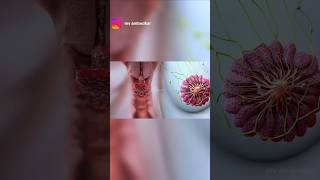 "लड़कियों की किशोरावस्था में होने वाले बदलाव 🌸 | Puberty Facts Every Girl Must Know"#Puberty