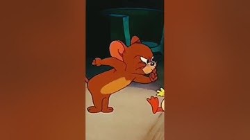 Tom & Jerry or bird best funny moments #love world#worldviralvideo#popular#page
