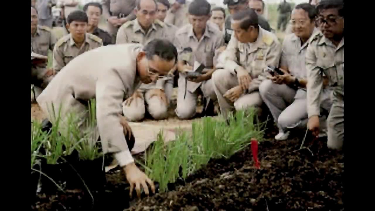 พระราชกรณียกิจในหลวง รัชกาลที่ 9 ด้านการศึกษา  New  พระราชกรณียกิจ รัชกาลที่ 9