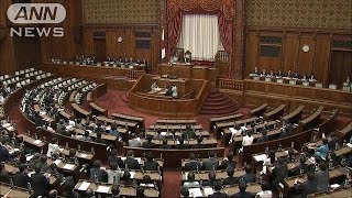 参議院平和安全特別委員会  安全保障関連法 可決、成立