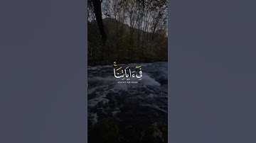 ما تيسر من سورة يونس | القارئ عبدالرحمن مسعد 🤍 | قرآن كريم