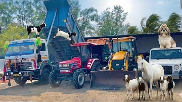 New JCB 3dx Backhoe Machine ,Thar Car , NewHolland Tractor Trolley And TATA Track Loading Mud