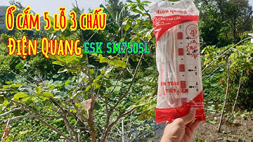Review Ổ cắm Điện Quang 5 lỗ 3 chấu ESK SM750SL