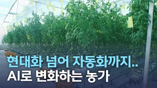 현대화 넘어 자동화까지..AI로 변화하는 농가 | 전주MBC 220206 방송 screenshot 5