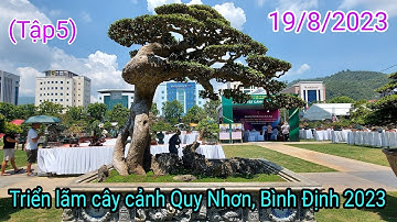 Triển lãm cây cảnh Quy Nhơn, Bình Định (Tập5), 2023