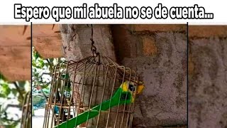 VARIOUS MEMES #422