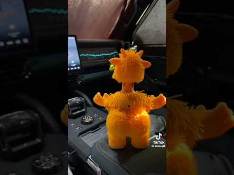 اديتهم كل حاجه وهما استغنوا عني 