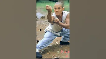 Jet Li Moment Training 