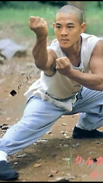 Jet Li moment training