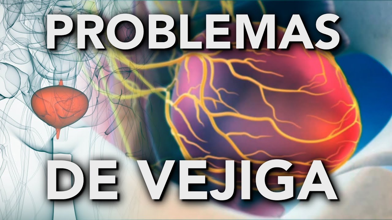 Enfermedades de la Vejiga Urinaria - Mundo Natural - YouTube