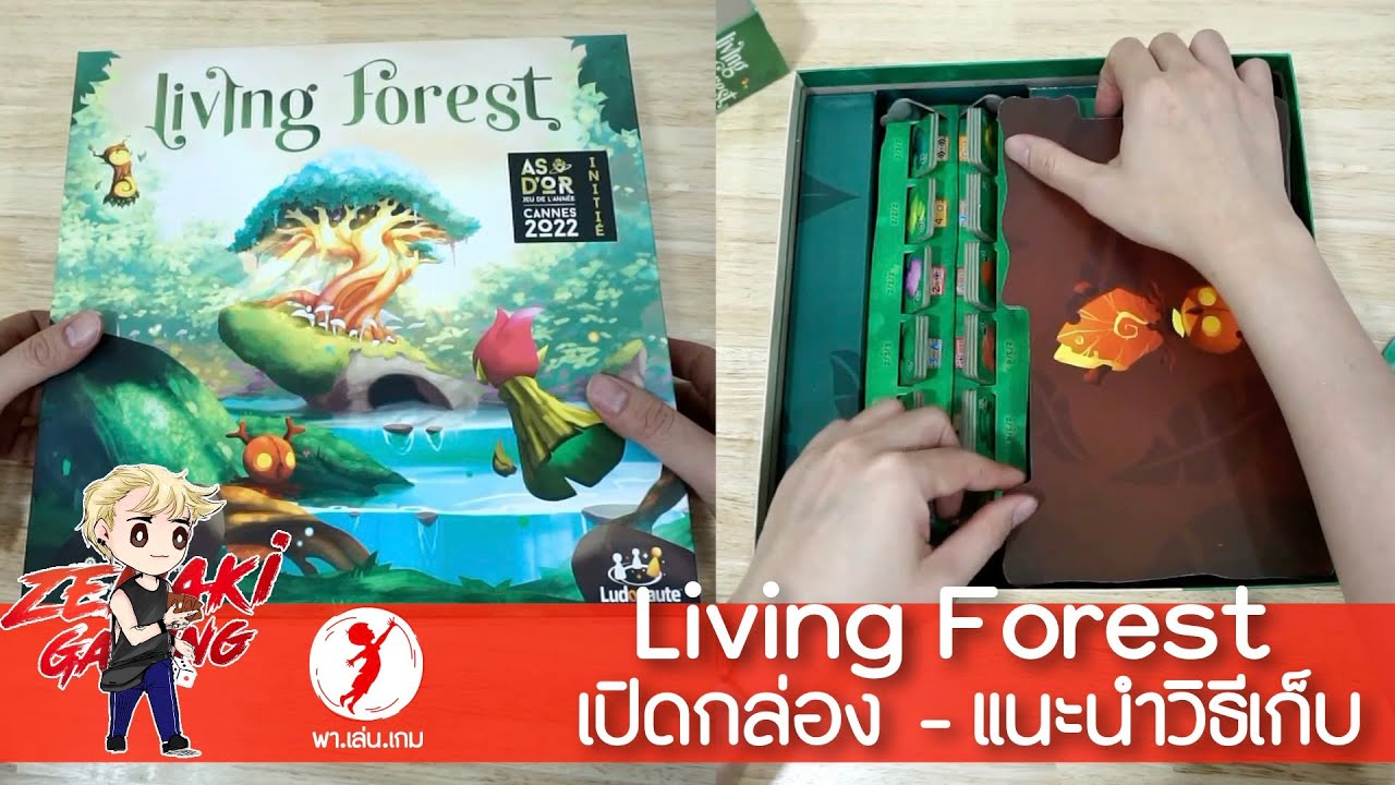 Living forest Unboxing และ แนะนำวิธีเก็บ บอร์ดเกม boardgame game