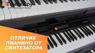 Отличие пианино от синтезатора - Фортепианный ликбез Глинки.ру