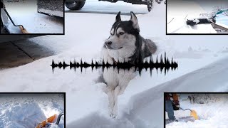 MAKING A BEAT USING RANDOM SOUNDS by Onyx The Husky 97 views 2 years ago 36 seconds