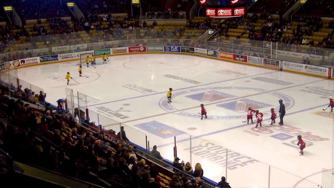 Kitchener Minor Hockey Timbit Game Tyke Canucks vs Flames at The Aud ...