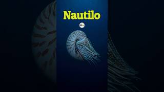 NAUTILO: El Navegante del Océano Profundo.