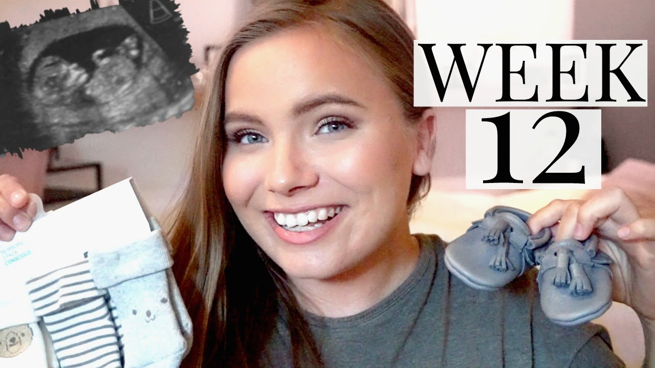 12 Week Pregnancy Milestones 12 Week Pregnancy Milestones