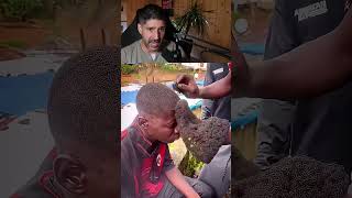 Corte de pelo mas peluca 2 en 1