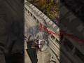 Black Knife Assassin Self Deletes After Killing Me in Elden Ring