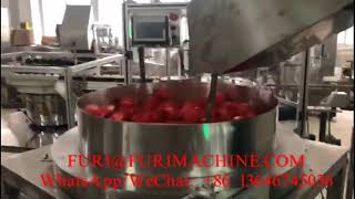 Celebrity Wad foil liner cap die punching cutting inserting wadding lining machine Net Worth