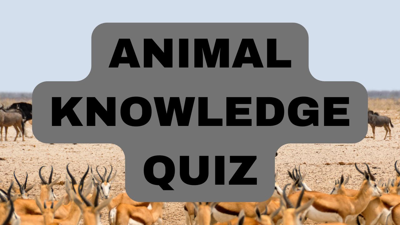 Animal Knowledge Quiz YouTube
