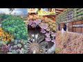 Succulent Paradise | Thiên đường sen đá | 多肉植物| 다육이들 | Suculentas