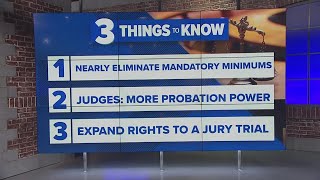 Celebrity DC Council moving forward with sweeping changes to the criminal code Profile