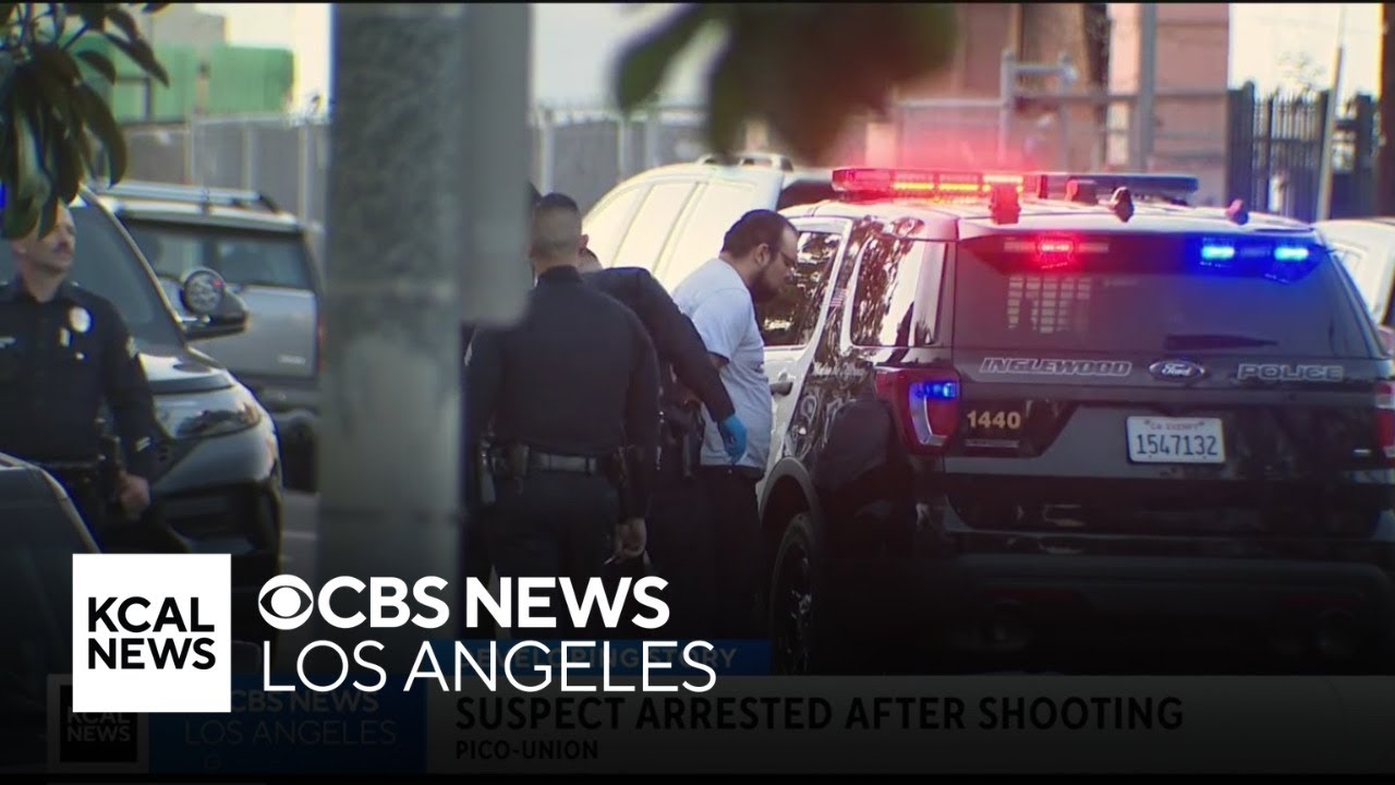 Alleged gunman arrested for shooting at Spartan College in Inglewood ...