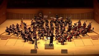 Chansik Park plays Sarasate - Carmen Fantasy, Op.25