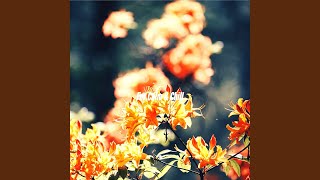 Thrilling Waltz - Vibe for Finding It