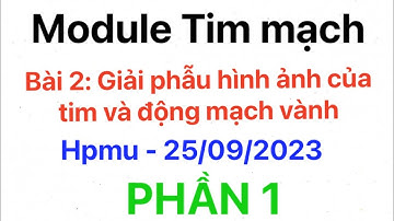 [Module Tim mạch] Bài 4: Giải phẫu hình ảnh tim và động mạch vành - Phần 1