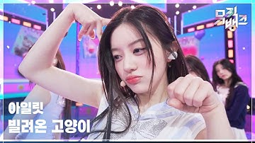 빌려온 고양이(Do the Dance) - 아일릿 (ILLIT) [뮤직뱅크/Music Bank] | KBS 250704 방송