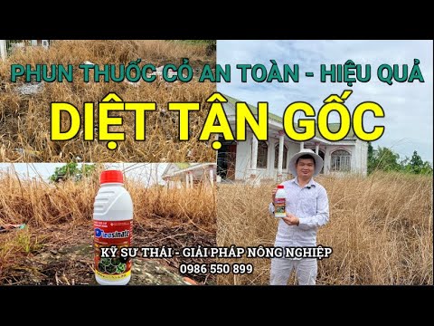 Video Phun Thuốc Cỏ Gì Chết Tận Gốc - An Toàn - Hiệu Quả| Cỏ... - YouTube