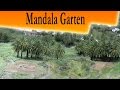 Mandala Garten im Valle Gran Rey