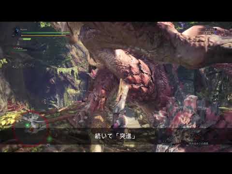 レウス 弱点 Mhw