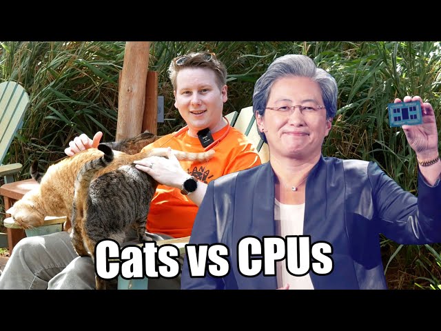 AMD EPYC in 2022, with Milan-X, Zen 4, and Cats 🐈 class=