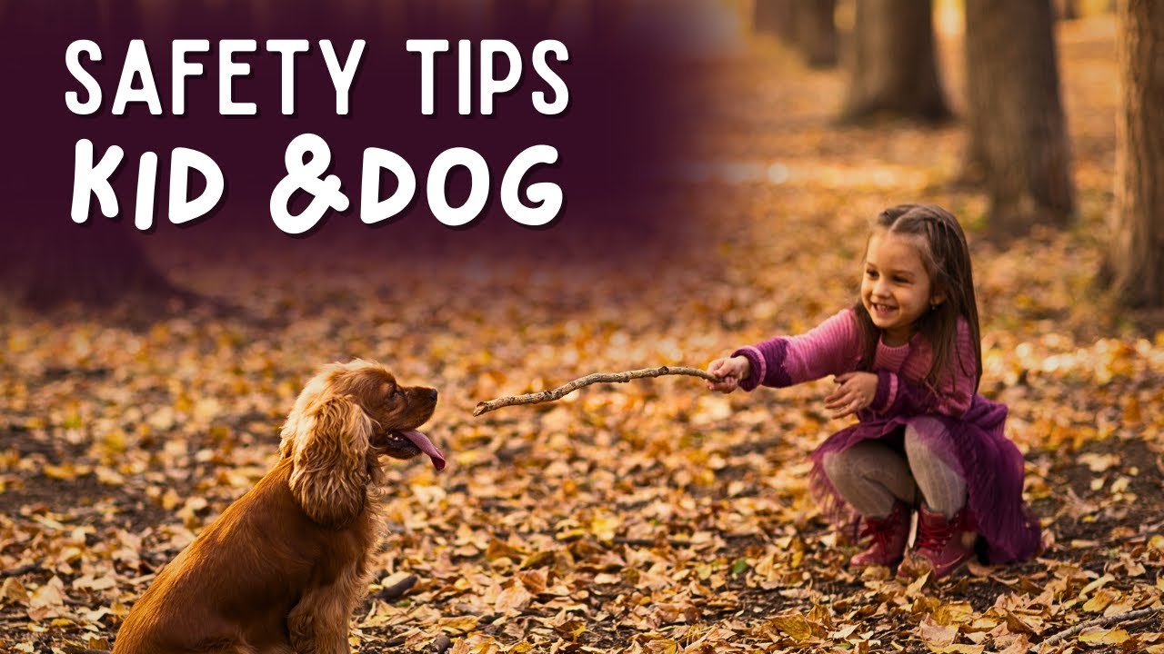 PREVENTING Accidents: Keeping Kids SAFE AROUND Dogs