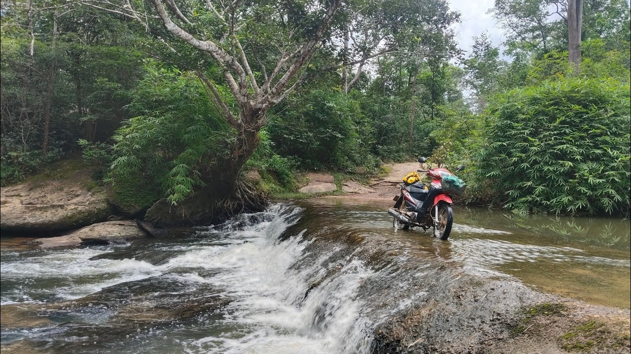 ທາງເຂົ້າປ່າຖືກນ້ຳຖ້ວມ//ทางเข้าป่าถืกน้ำท้วม Dong Una