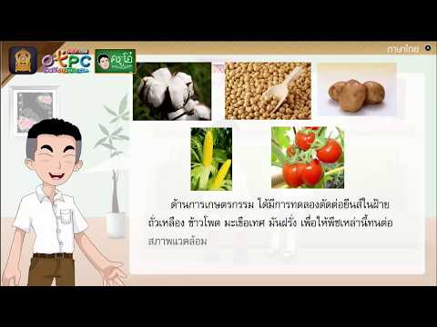 บทอ่านเสริมเติมความรู้เรื่อง จีเอ็มโอ  ชีวิตสายพันธ์ใหม่ - สื่อการเรียนการสอน ภาษาไทย ป.6