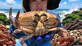 Xiao Zhang Is Getting Rich; He's Picking Up Lobsters And Crabs Until His Hands Are Sore.