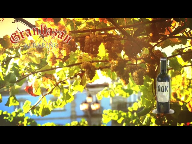 5 NOK americano 2011