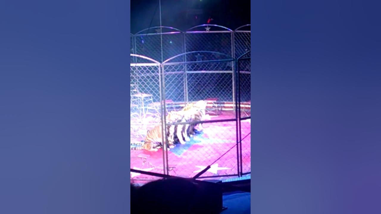 Naja Shrine Circus Rapid City, South Dakota YouTube