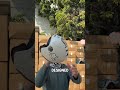 Helmet Safety Myth!